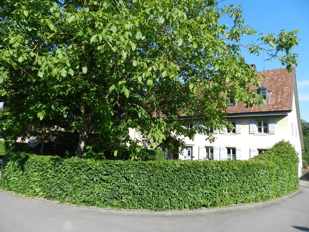 Blue Wall Bnb Gebenstorf Eksteriør billede
